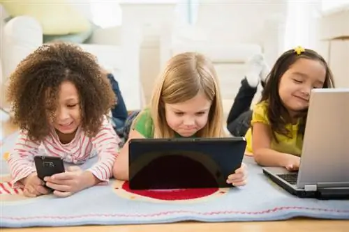 Vaikų sauga internete