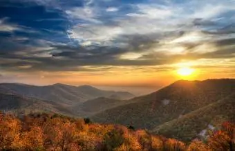 Taman Negara Shenandoah