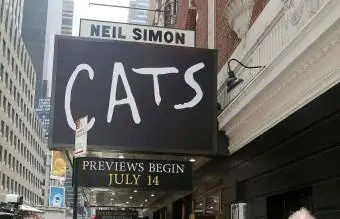 Muzikál Cats na Broadwayi