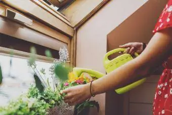 Nainen käyttää kastelukannua kasveille