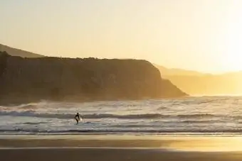 Sörf tahtasını okyanusa taşıyan sörfçü