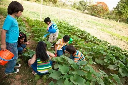 Sự kiện và hoạt động về nông nghiệp dành cho trẻ em