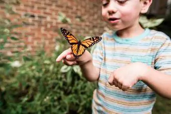 صبي يصطاد الفراشة