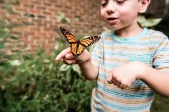 Boy Catching Butterfly