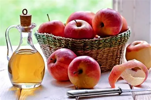 Можете ли да използвате ябълков оцет за почистване? Основи, които трябва да знаете