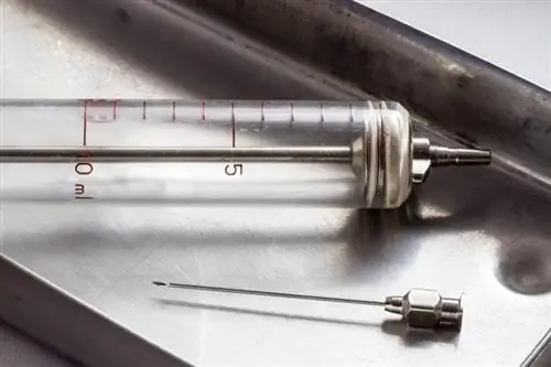 Kasaysayan ng Antique Syringe, Mga Halaga & Mga Natatanging Katotohanan