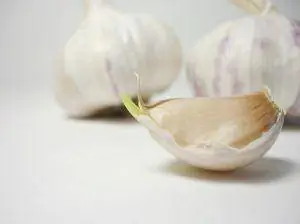 Garlic Potency Sa Pagluluto