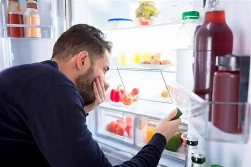 عندما تكون رائحة الثلاجة كريهة (حتى بعد التنظيف): 10 إصلاحات سهلة