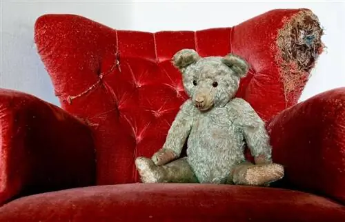 Steiff Bears: Values Behind the Captivating Collectibles