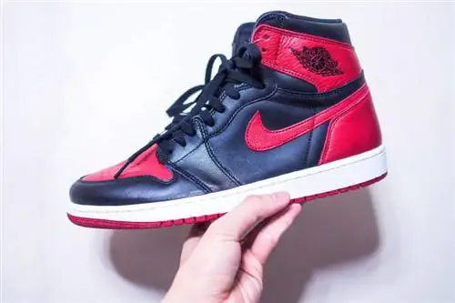 Rare Jordans: Μια πιο προσεκτική ματιά στα διάσημα παπούτσια