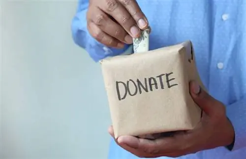 جمع التبرعات عبر الإنترنت أصبح سهلاً: أفكار ناجحة