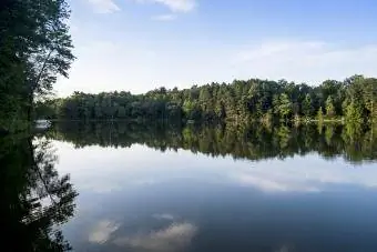 Ainavisks skats uz Aiovas ezeru pie kokiem mežā pret debesīm