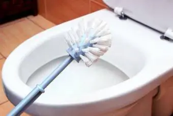 Klozet üzerinde tuvalet fırçası