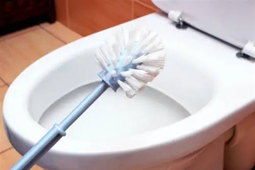Hoe om 'n toiletborsel met maklike metodes skoon te maak