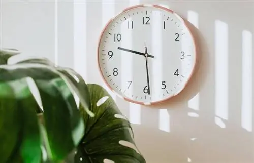 Placement de l'horloge Feng Shui pour l'équilibre & Prospérité