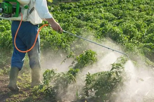 Kaip pesticidai naikina klaidas? Supratimas, kaip jie veikia