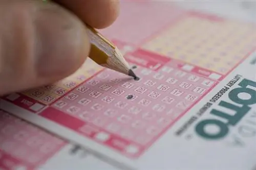 Zbiranje starinskih loterijskih vstopnic: vrednost in klubi