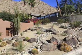 plantes de cactus de paysage dans le feng shui