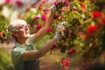 Senior vrouw tuinman werkzaam in tuincentrum
