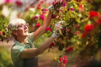 Senior kvinna trädgårdsmästare som arbetar i Garden center