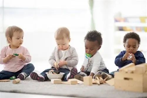 Creatieve ideeën voor lesprogramma's voor kinderopvang: thema's, knutselen & Verder