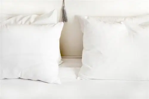 Jak czyścić poduszki, aby uzyskać świeży wygląd
