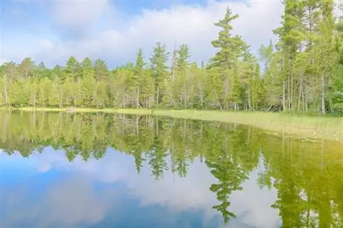 Tapak Perkhemahan di Michigan: Terokai Taman Negeri dan Negara