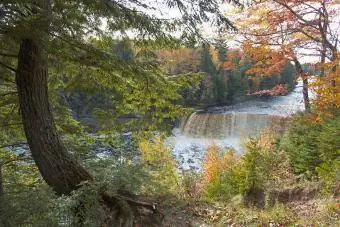 Tahquamenon-waterval