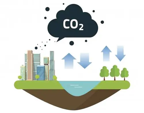 Diagramma del ciclo del carbonio