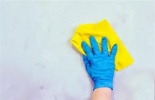 Najbolji način za čišćenje zidova prije farbanja