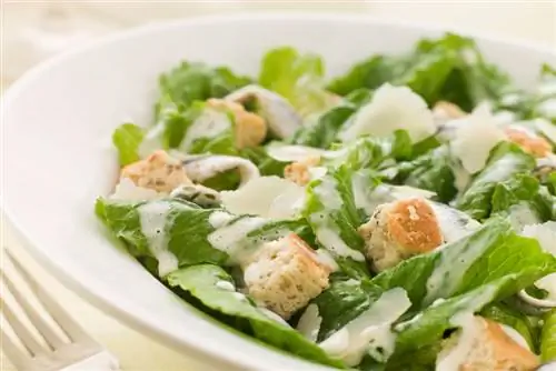 Recept za salatu Cezar