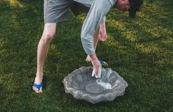 Man schrobborstel om vogelbad schoon te maken