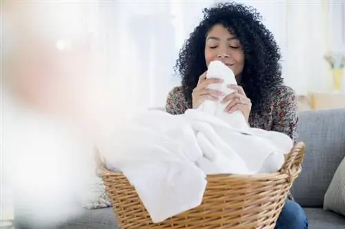 15 najbolj dišečih detergentov za pranje perila za bolj sveže čiščenje