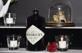 Hendrick's Ginin näyttö