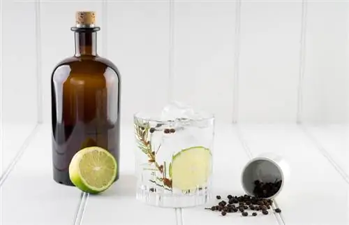 21 Beste Gins vir enige geleentheid