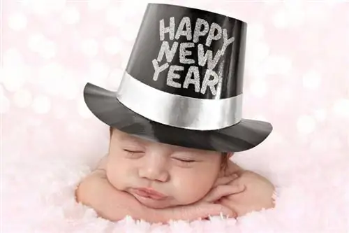 Pôvod a symbolika Baby New Year