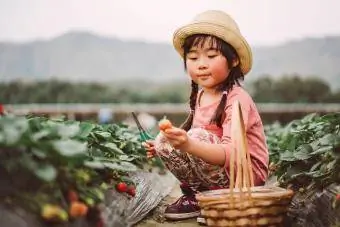 Bella ragazza che raccoglie fragole in fattoria