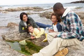 famiglia in cerca di fauna selvatica costiera
