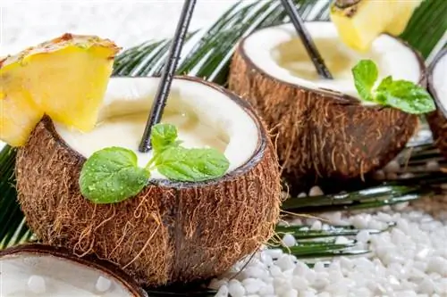 21 kokosriekstu ruma dzēriena recepte, kas ir neatvairāmi vienkārša