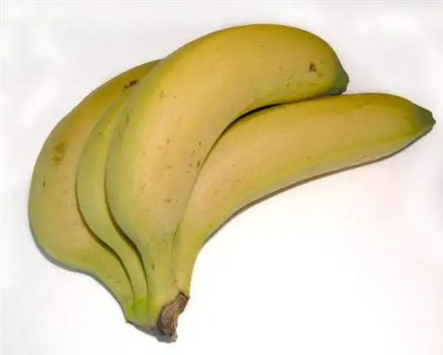 Рецепт бананового пирога с кремом