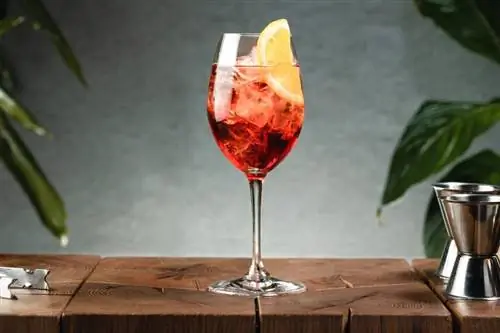 Receta të thjeshta kokteji Campari me shije të hidhur