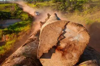 deforestation sa Amazon