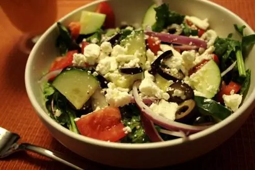 Mga Recipe ng Greek Salad