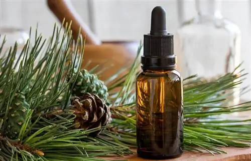 Pine Oil Cleanerin käyttö kotiisi