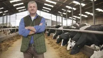 Ūkininkas tvarte su karvėmis pieno ūkyje
