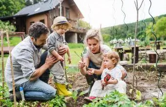 keluarga berkebun di luar ruangan