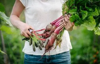 жена, която държи кореноплодни зеленчуци