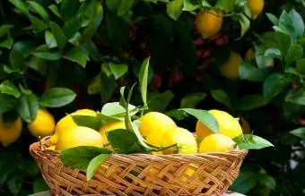 Καλάθι με λεμόνια
