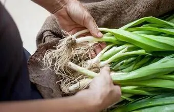 Mga kamay na may mga organic na spring onion