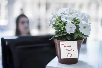 Potteplante med takkebrev på kontorbord